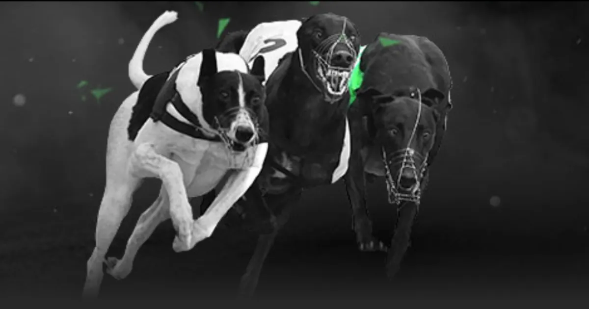 塞维利亚对,马略卡平分,秋色,分分彩,彩票平台,精准投注,高频彩票,在线购彩