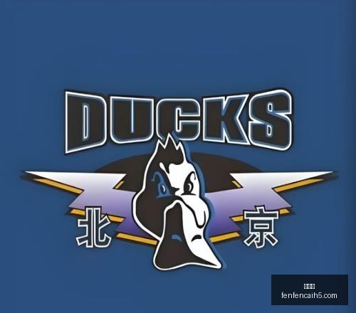 篮球赛事前,山猫大战狂,不容错过的,分分彩,彩票平台,精准投注,高频彩票,在线购彩