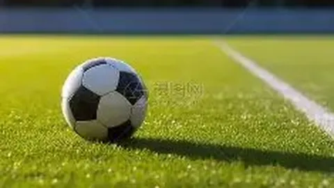 意甲激战：博洛尼亚与罗马2-2握手言和