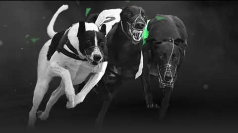 塞维利亚对马略卡平分秋色，西甲联赛1-1战平